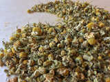 Dried German Chamomile, Matricaria recutita, for Sale from Schmerbals Herbals