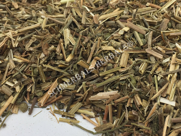 Cleavers, Galium aparine, All Natural Herb ~ Schmerbals Herbals®