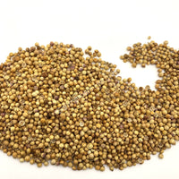 Whole coriander seeds, Coriandrum sativum for sale from Schmerbals Herbals, Cilantro seeds