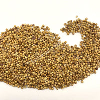 Whole coriander seeds, Coriandrum sativum for sale from Schmerbals Herbals, Cilantro seeds