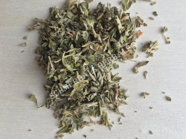 Dried Damiana Leaf, Turnera diffusa, for Sale from Schmerbals Herbals