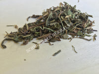 Dried Dandelion Leaf, Taraxacum officinale, for Sale From Schmerbals Herbals