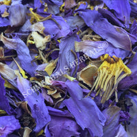 1 kg Dried Blue Lotus, Nymphaea caerulea, Deep Purple Thai™ Petals and Stamens for Sale from Schmerbals Herbals