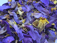 1 oz Dried All Natural Blue Lotus Pure Petals and Stamens, Nymphaea caerulea, Deep Purple Thai for Sale from Schmerbals Herbals