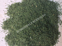 Dried Organic Dill Weed, Anethum graveolens, for Sale from Schmerbals Herbals