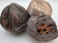 Dried Large Chunks of Dragon's Blood, Daemonorops draco, for Sale from Schmerbals Herbals