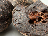 Dried Large Chunks of Dragon's Blood, Daemonorops draco, for Sale from Schmerbals Herbals