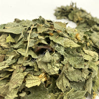 Dried Mexican Dream Herb Leaf, Calea Zacatechichi, for Sale from Schmerbals Herbals Calea ternifolia