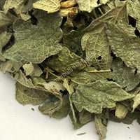 Dried Mexican Dream Herb Leaf, Calea Zacatechichi, for Sale from Schmerbals Herbals Calea ternifolia