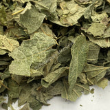 Dried Mexican Dream Herb Leaf, Calea Zacatechichi, for Sale from Schmerbals Herbals Calea ternifolia