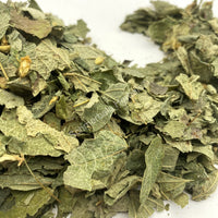 Dried Mexican Dream Herb Leaf, Calea Zacatechichi, for Sale from Schmerbals Herbals Calea ternifolia