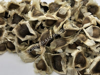 Dried Drumstick Tree Seeds, Moringa oleifera, for Sale from Schmerbals Herbals