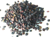 Dried Wild-Crafted Whole Berry Elderberry, Sambucus nigra, for Sale from Schmerbals Herbals