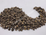 Dried Untreated Fresh Elephant Creeper, Argyreia nervosa, Hawaiian Baby Woodrose Seeds, for Sale from Schmerbals Herbals