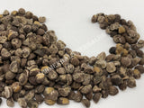 Dried Untreated Fresh Elephant Creeper, Argyreia nervosa, Hawaiian Baby Woodrose Seeds, for Sale from Schmerbals Herbals