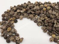 Dried Untreated Hawaiian Baby Woodrose Seeds, Argyreia nervosa, for Sale from Schmerbals Herbals