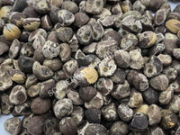 Dried Untreated Fresh Elephant Creeper, Argyreia nervosa, Hawaiian Baby Woodrose Seeds, for Sale from Schmerbals Herbals