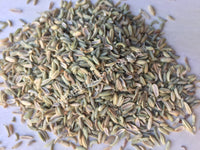 Dried Whole Fennel Seed, Foeniculum vulgare, for Sale from Schmerbals Herbals