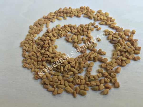 Dried Fenugreek Seed, Trigonella foenum graecum, for Sale from Schmerbals Herbals