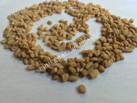 Dried Fenugreek Seed, Trigonella foenum graecum, for Sale from Schmerbals Herbals