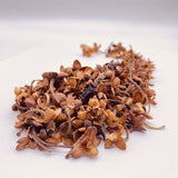 Dried Flor de Tilia, Whole Linden Flowers, Mexican Tilia Stars for sale from Schmerbals Herbals