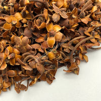 Dried Flor de Tilia, Whole Linden Flowers, Mexican Tilia Stars for sale from Schmerbals Herbals