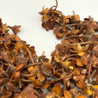 Dried Flor de Tilia, Whole Linden Flowers, Mexican Tilia Stars for sale from Schmerbals Herbals