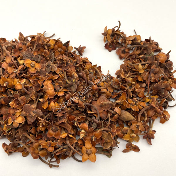 linden flower seeds Flor de Tilia, 1 kg Whole Linden Flower, Mexican Tilia Stars ~ Schmerb – Schmerbals Herbals