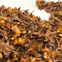 Dried Flor de Tilia, Whole Linden Flowers, Mexican Tilia Stars for sale from Schmerbals Herbals