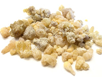 Dried Frankincense, Boswellia carteri, #1 Cut Tears, for Sale from Schmerbals Herbals