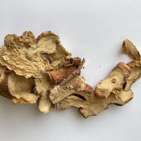 Dried Galangal Sliced Root Rhizomes, Alpinia galanga ~ for sale from Schmerbals Herbals