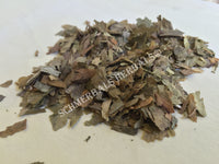 Dried Ginkgo Leaf, Ginkgo biloba, for Sale from Schmerbals Herbals