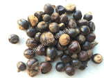 Dried Whole Unroasted Guarana Seed, Paullinia cupana, for Sale from Schmerbals Herbals