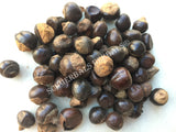 Dried Whole Unroasted Guarana Seed, Paullinia cupana, for Sale from Schmerbals Herbals