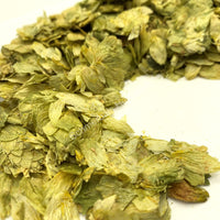 Hops, Humulus lupulus for sale from Schmerbals Herbals Hops flower buds