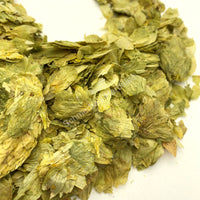 Hops, Humulus lupulus for sale from Schmerbals Herbals Hops flower buds