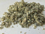 Horehound, Marrubium vulgare, for Sale from Schmerbals Herbals