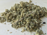 Horehound, Marrubium vulgare, for Sale from Schmerbals Herbals