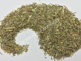 Dried Horsetail, Equisetum arvense, for Sale from Schmerbals Herbals