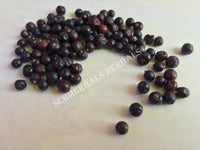 Dried Juniper Whole Berry, Juniperus communis, for Sale from Schmerbals Herbals