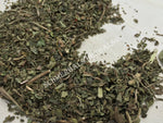 Dried Klip Dagga Leaf, Leonotis Nepetifolia, for Sale from Schmerbals Herbals