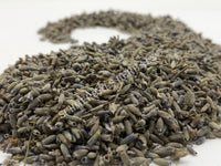 Dried Lavender Buds, Lavandula angustifolia, for Sale from Schmerbals Herbals