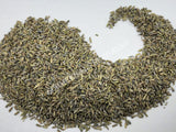 Dried Lavender Flower, Lavandula x intermedia, Fragrant Grey for Sale from Schmerbals Herbals