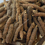 Dried Long Pepper Fruit, Piper longum ~ For Sale From Schmerbals Herbals