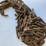 Dried Long Pepper Fruit, Piper longum ~ For Sale From Schmerbals Herbals