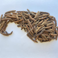 Dried Long Pepper Fruit, Piper longum ~ For Sale From Schmerbals Herbals