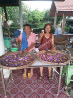 Processing Blue Lotus Flower, Nymphaea caerulea, For Sale from Schmerbals Herbals