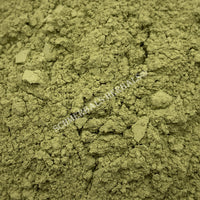 Dried All Natural Matcha Green Tea Powder, Camellia sinensis, for Sale from Schmerbals Herbals