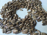 Dried Milk Thistle Seed, Silybum marianum, for Sale from Schmerbals Herbals