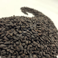 Bulk Morning Glory Seeds, Ipomoea tricolor, 1 kg Untreated Viable Seeds for sale by Schmerbals Herbals®